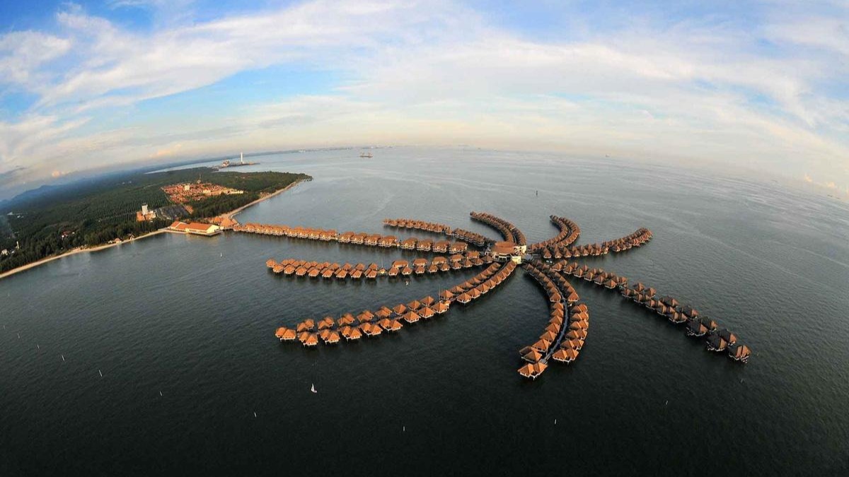 Golden Palm Tree Malaysia